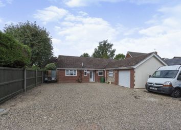 Thumbnail Detached bungalow for sale in Pine View, Bacton, Stowmarket