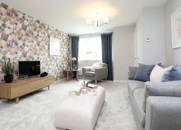 Showhome Photography
