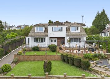Thumbnail Detached house for sale in Edginswell Close, Torquay