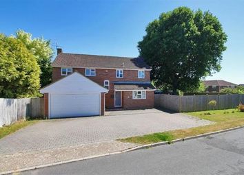 Thumbnail Property to rent in The Paddock, Maresfield, Uckfield