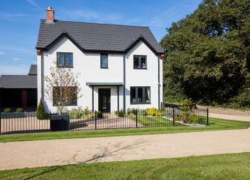 Thumbnail Detached house for sale in "The Osterley" at Blythe Valley Park, Kineton Lane, Solihull