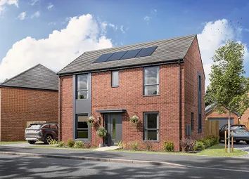 Ds09074 [Lh] Mountford - Plot 1_Web