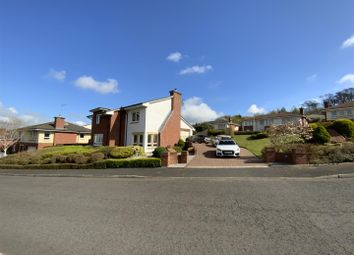Thumbnail Detached house for sale in Mountainhall Avenue, Dumfries