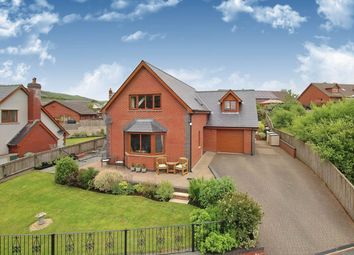 Thumbnail 3 bed detached house for sale in Tai Cae Mawr, Llanwrtyd Wells