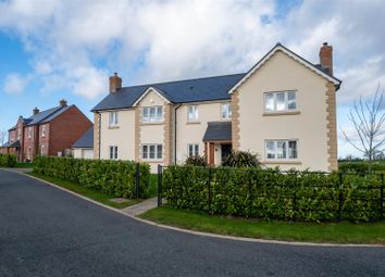 Thumbnail Detached house for sale in Frankton Fields, Welsh Frankton, Whittington, Oswestry