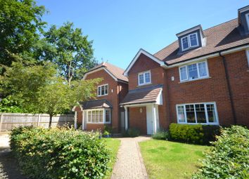 White House Basement Wikipedia