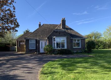Thumbnail Detached bungalow to rent in Main Road, Bosham, Chichester