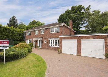 Thumbnail Detached house to rent in Pine Walk, Cobham