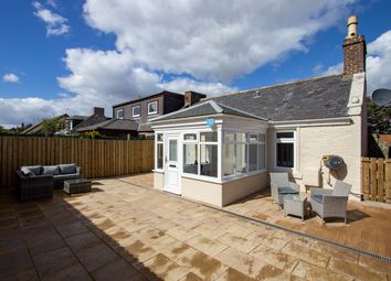 Thumbnail 2 bed semi-detached bungalow for sale in India Lane, Montrose