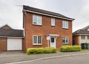 Thumbnail Detached house to rent in Ethelreda Drive, Thetford, Norfolk