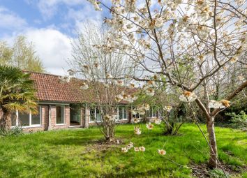 Thumbnail Detached house for sale in Duck Lane, Westbury Sub Mendip, Wells