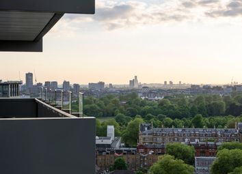 Terrace View