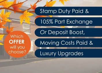 Autumn Offers