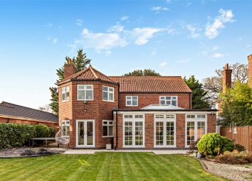 Thumbnail Detached house for sale in Ipswich Road, Norwich, Norfolk