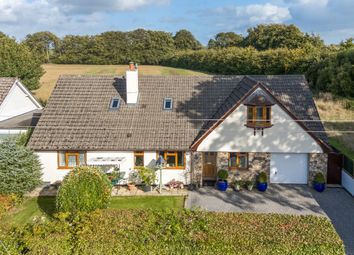 1346499-12-68c847...