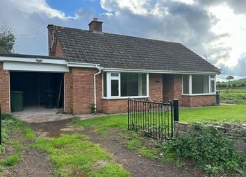 Thumbnail Detached bungalow to rent in Clifford, Hereford