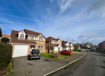 Thumbnail 4 bedroom detached house for sale in Meadow Rise, Swansea