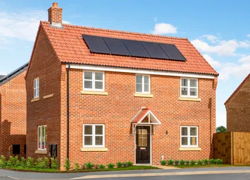 Frampton Gate - The Holly Special 65 - May 2026
