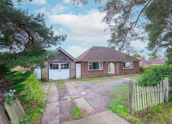 Thumbnail Bungalow to rent in Yeovil Road, College Town, Sandhurst
