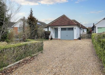 Thumbnail 4 bedroom detached bungalow for sale in The Avenue, Liphook