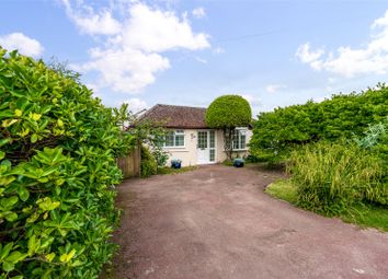 Thumbnail Bungalow for sale in Ocean Drive, Ferring, Worthing