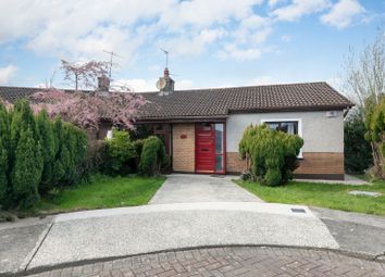 Thumbnail 2 bed semi-detached bungalow for sale in 39 The Grove, Wexford County, Leinster, Ireland