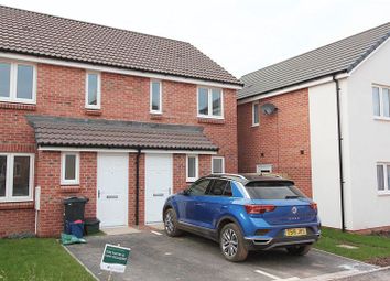 Thumbnail Semi-detached house to rent in Sweet Chestnut, Cranbrook, Exeter