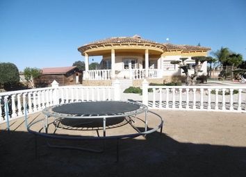 Thumbnail 4 bed finca for sale in Spain, Valencia, Alicante, Catral