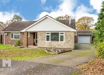 Thumbnail 3 bed detached bungalow for sale in Coppice Close, St. Ives, Ringwood