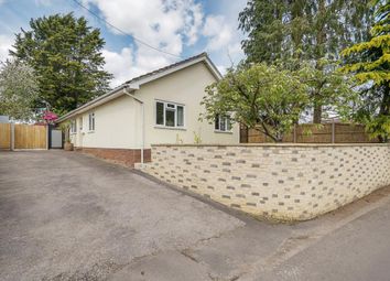Thumbnail Detached bungalow to rent in Egham, Surrey