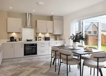 Dandara - Zoopla -