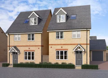 Fern cgi Randall Fields, Stotfold