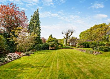 Thumbnail 3 bed detached house for sale in Hammer Lane, Grayshott, Hindhead, Surrey