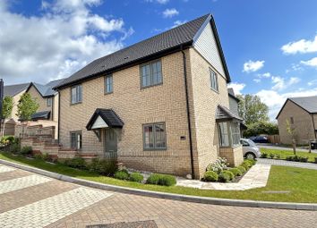 Thumbnail Detached house for sale in Walnut Drive, Haddenham, Ely