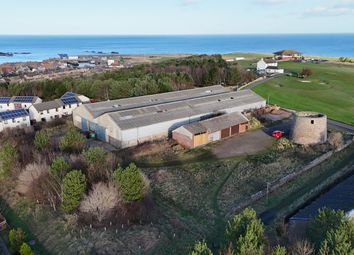 Thumbnail Property for sale in Gunsgreenhill, Eyemouth