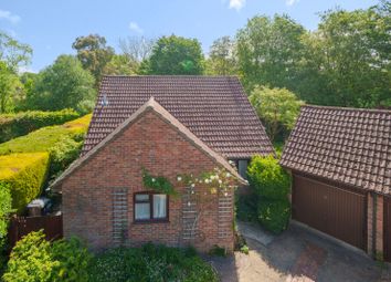 Thumbnail Bungalow for sale in Mayfield, Rowledge, Farnham