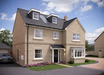 East Anglia_Millstone Park_Collcutt Plot 29_Web