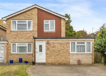 Thumbnail 4 bed link-detached house for sale in Cedar Close, Hertford