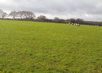 Thumbnail Land for sale in Northlew, Okehampton