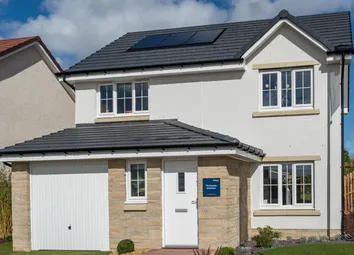 Showhome Photography
