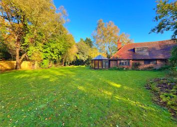 Property listing in Hailsham, East Sussex