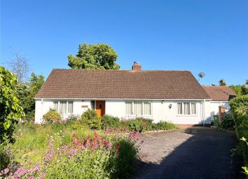 Property listing in Minehead, Somerset