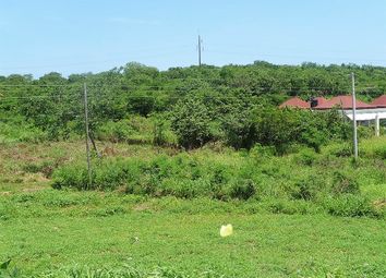 Thumbnail Land for sale in Trelawny, Jamaica