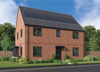 Thumbnail 4 bedroom detached house for sale in "The Beauwood" at Cold Hesledon, Seaham