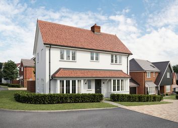 The Willows, Burridge