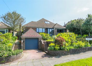 Thumbnail Detached house for sale in Shirley Drive, Hove, East Sussex