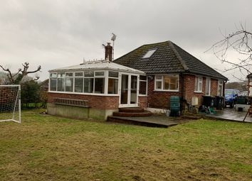 Houses To Rent In Lyme Regis Renting In Lyme Regis Zoopla