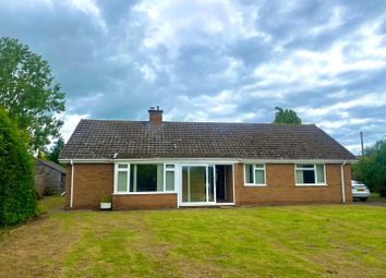 Thumbnail Detached bungalow for sale in Ullingswick, Hereford