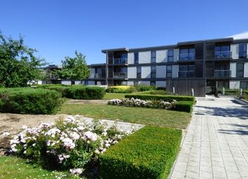 Find 1 Bedroom Flats To Rent In Beanhill Zoopla