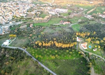 Thumbnail Land for sale in Rua Padre João, Pontével, Cartaxo